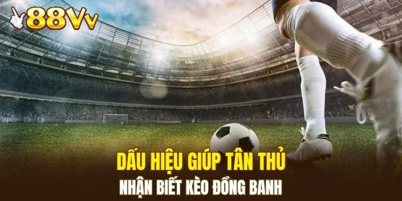 Dấu hiệu giúp tân thủ nhận biết kèo đồng banh