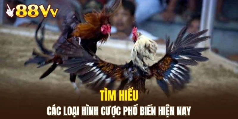 Điểm qua những loại hình kèo cược