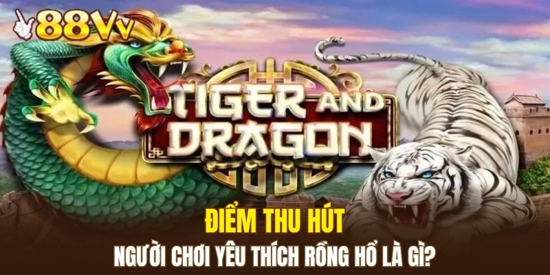 Điểm thu hút người chơi yêu thích rồng hổ là gì?