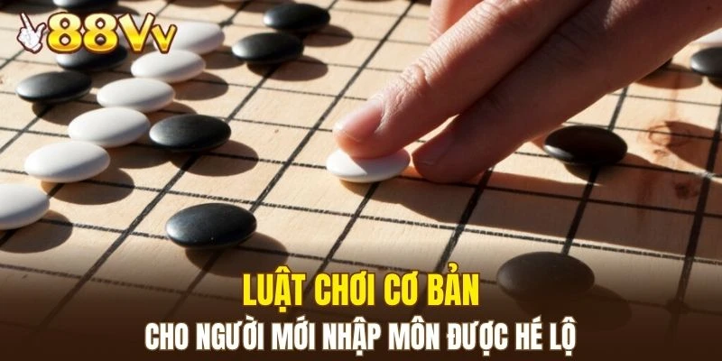 Hé lộ nguyên tắc tham gia chi tiết