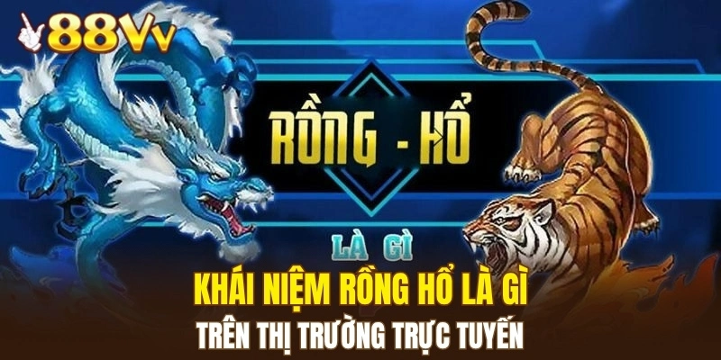 Khái niệm rồng hổ là gì trên thị trường trực tuyến