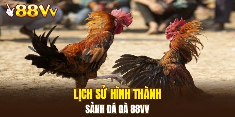Lịch sử hình thành sảnh đá gà 88VV