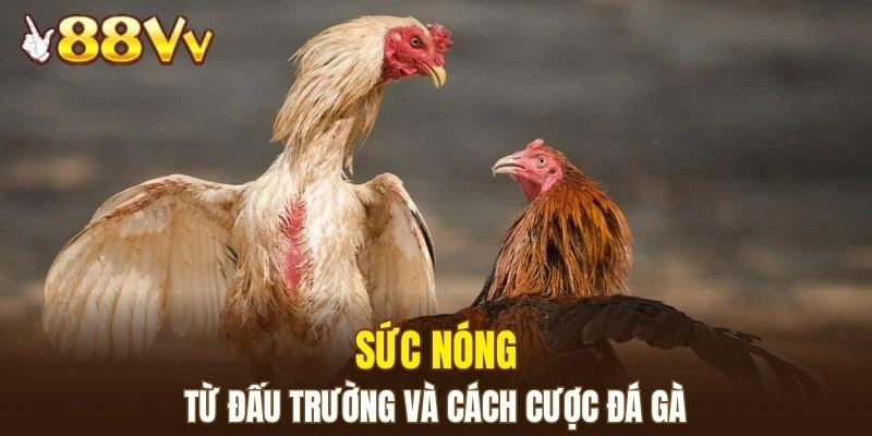 Sự kịch tính xuất hiện ở trường đấu